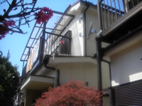 外壁モルタル