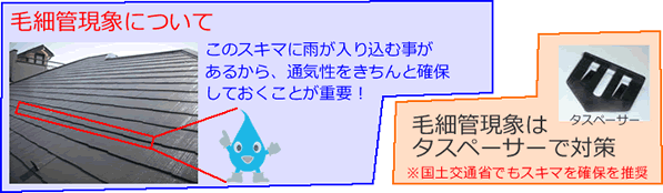 毛細管現象