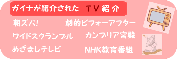 断熱塗料 ガイナ テレビ紹介