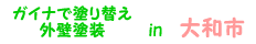 ガイナ 大和市